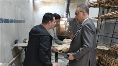 تموين الدقهلية: ضبط 2 طن ملح وتحرير 100 مخالفة تموينية 