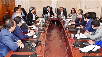 وزيرة التجارة: مشاركة بالمعارض وإقامة مناطق لوجستية ضمن خطة التوسع بأفريقيا