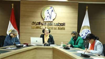 المجلس القومي للمرأة يناقش أشكال العنف ضد المرأة الريفية