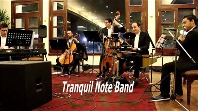 فرقة «Tranquil Note Band» الموسيقية تبحر بين قوافي الألحان بمكتبة مصر الجديدة 