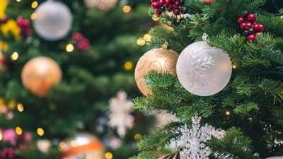  شجرة عيد الميلاد تقتل امرأة في بلجيكا