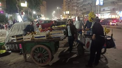 رفع 99 حالة إشغال وإغلاق 8 مقاه في حملة بحي جنوب الجيزة