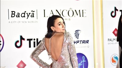 إطلالات جذابة لرنا رئيس وزينب غريب ورشا مهدي على ريد كاربت 