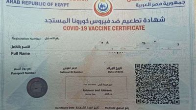 قرار حظر دخول غير الملقحين للمصالح الحكومية يدخل حيز النفاذ.. وغلق محكمة الجيزة “أبرز المشاهد” 