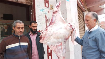 ضبط زيت طعام مجهول المصدر ولحوم خارج السلخانة في الدقهلية