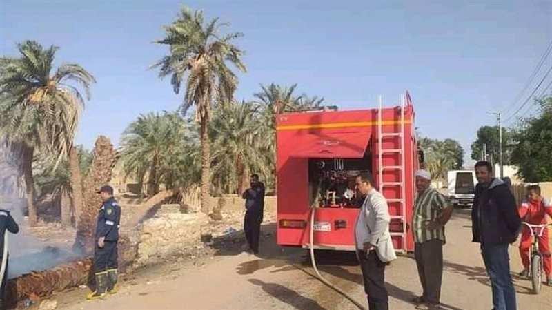 حريق بمزارع نخيل