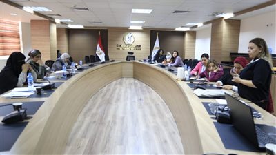 قومي المرأة ينظم ورشة عمل لرائدات الأعمال