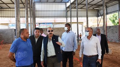 جولة تفقدية لمحافظ أسوان.. وحملة لإزالة الإشغالات بالسوق السياحى | صور