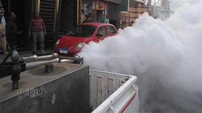 محافظ أسوان: تكثيف حملات رش المبيدات لمواجهة ظاهرة الحشرات الطائرة(صور)