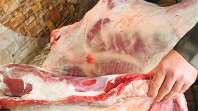 ضبط لحوم مذبوحة خارج السلخانة ومخالفات تموينية في شربين والمنصورة | صور 