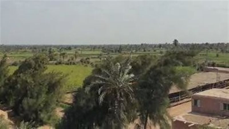  الفيوم