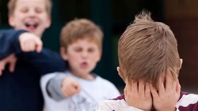 نائبة بالشيوخ تطالب الحكومة بتشريع يواجه ظاهرة التنمر