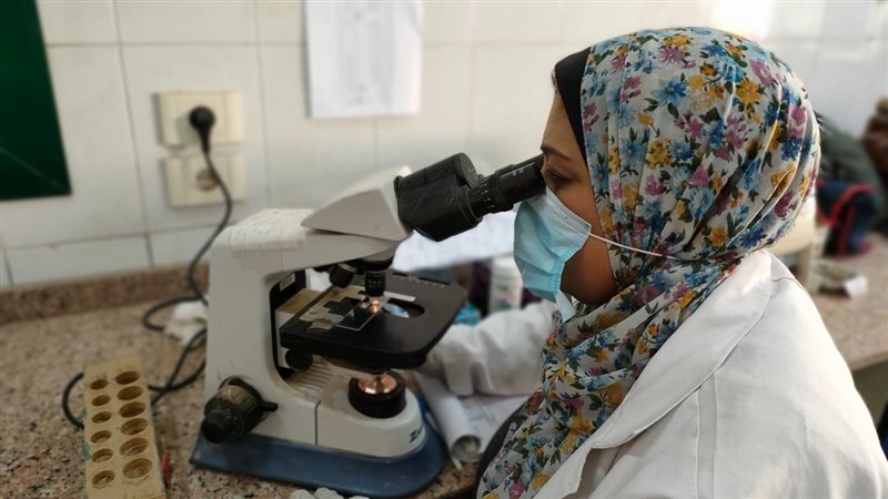 صحة المنيا، فيتو