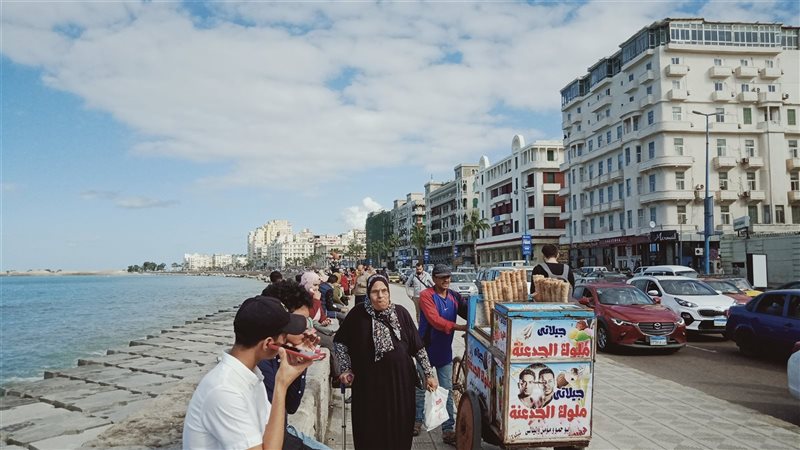 الاسكندريه