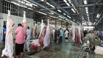 مدير المجزر الآلي بالبساتين: جاهزون لاستقبال الأضاحي