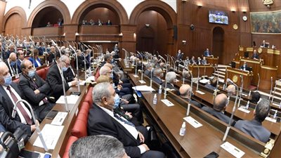  اليوم.. مجلس الشيوخ يواصل مناقشة قانون حقوق المسنين 