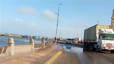 أجواء شتوية مشمسة في الإسكندرية | صور 