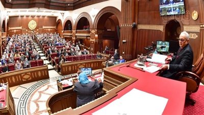 رفع جلسة الشيوخ.. وغدا استكمال مناقشة مشروع قانون حقوق المسنين