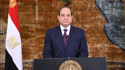 شريف مدكور يقدم حكاية 30 سباحا من ذوى الهمم أمام الرئيس السيسي