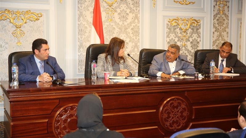 وزيرة التخطيط أمام
