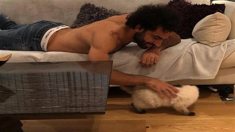 محمد صلاح مع القطط