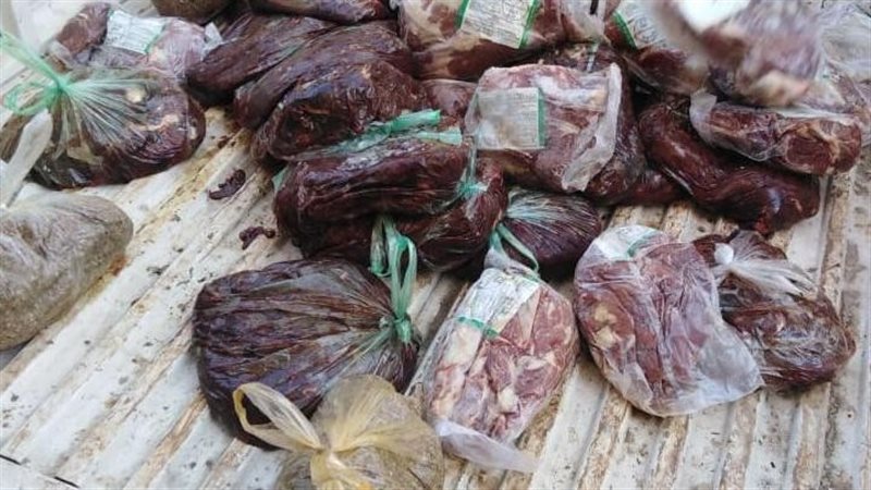 كبدة فاسدة - صورة