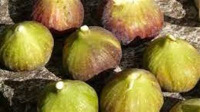 تفسير حلم أكل التين في المنام وعلاقته باقتراب الحمل 