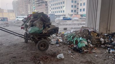 ضبط عربات كارو تلقي مخلفات ورتش بشوارع الجيزة | فيديو 