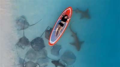  فتاة مغامرة تتمدد على لوح تزلج ومن تحتها أسماك القرش| فيديو 