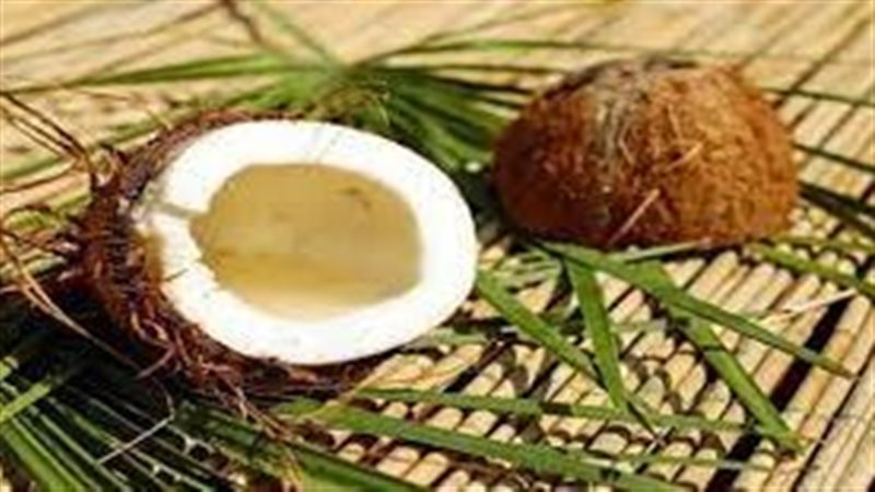 تفسير رؤية جوز الهند