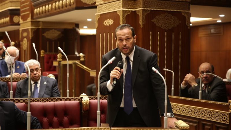 النائب محمد حلاوة