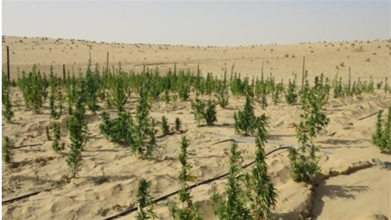 العثور على مزرعة