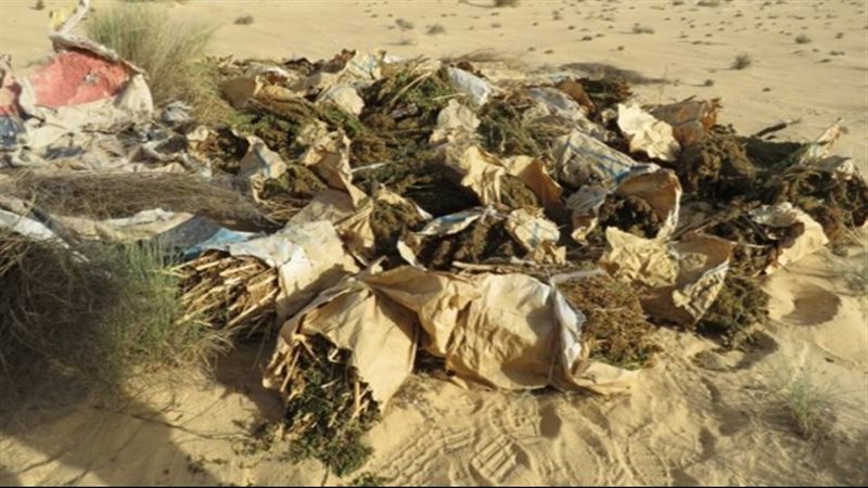 أخبار الحوادث اليوم