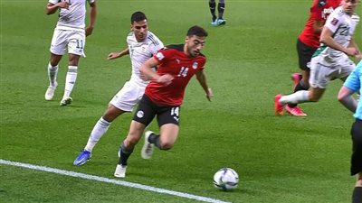 رسميا.. الجزائر تكشف حقيقة الاحتجاج على التعادل أمام منتخب مصر