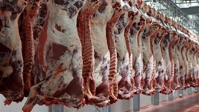 أسعار اللحوم اليوم الأحد 30 - 1 - 2022 في مصر