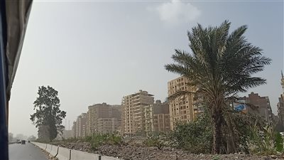 حالة الطقس غدا الأحد 2-1-2022 فى الدقهلية