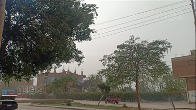 العاصفة الترابية تصل المنوفية | صور