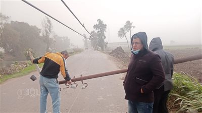 سقوط عمود إنارة وشجرة بسبب العاصفة الرملية بالغربية 