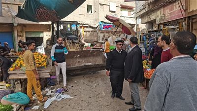 حملات مكثفة للتصدي للمخالفات التموينية والبناء المخالف في الدقهلية | صور 