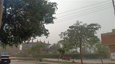 محافظ المنوفية: رفع درجة الاستعداد القصوى لمواجهة موجة الطقس السيئ