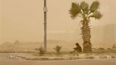 زراعة الجيزة تحذر: حالة جوية استثنائية تضرب البلاد، رياح عاصفة وأمطار رعدية متوقعة