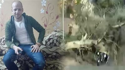 بسبب شدة الرياح.. مصرع سائق سقطت عليه شجرة بالغربية