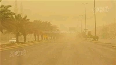 مصرع خفير نظامي سقطت عليه شجرة في العاصفة الترابية بالشرقية | فيديو 