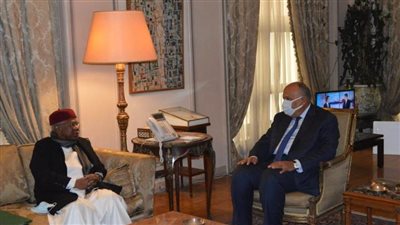 وزير الخارجية يستقبل أمين عام منظمة التعاون الإسلامي الجديد