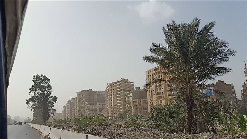 طقس الدقهلية 