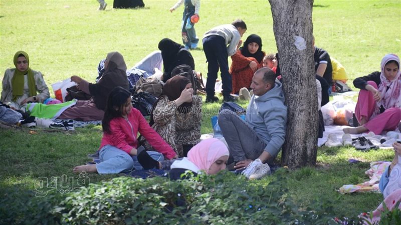 احتفال المصريين بعيد