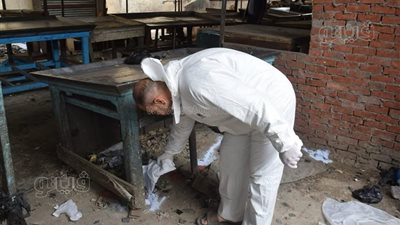 حملات مكثفة لمكافحة القوارض والحشرات بأسواق بورسعيد والزهور 