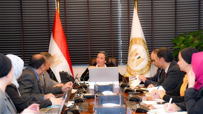 وزيرة البيئة تناقش مستجدات الخطة الوطنية للتكيف مع تغير المناخ في مصر