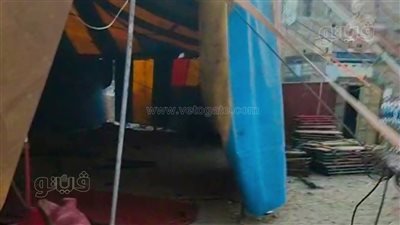 إزالة سيرك طنطا بعد واقعة مهاجمة نمر لأحد العاملين وبتر ذراعه