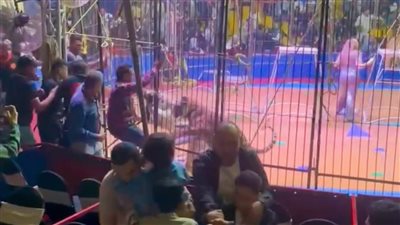 ضحية حادث سيرك طنطا يكشف مفاجأة بشأن واقعة النمر 